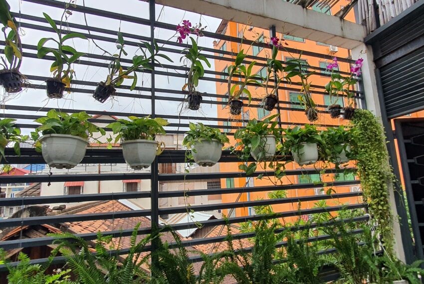 business-center-cambodia-location-vente-logement-maison-appartement-commerce-annonces-immobilier-expatriation-hotel-gueshouse-kep-mer-informations-expatrié-plage-expat-siemreap-phnompenh.jpeg