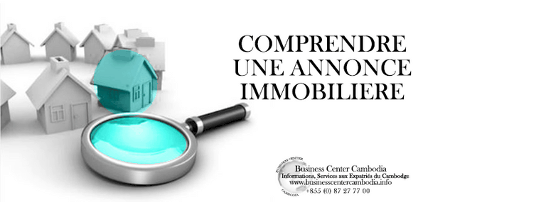 Business-Center-Cambodia-annonces-cambodge-services-expatries-informations-investir-offres-immobilères--hotel-bar-restaurant-achat-vente-location-conseils-société-commerce-installation.jpeg
