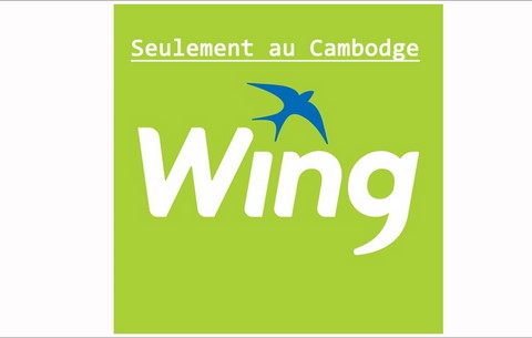 cambodge-banque-paiement-ligne-internet-virement-bancaire-transfert-argent-envoyer-business-center-cambodia-cendy-lacroix-wing.jpeg
